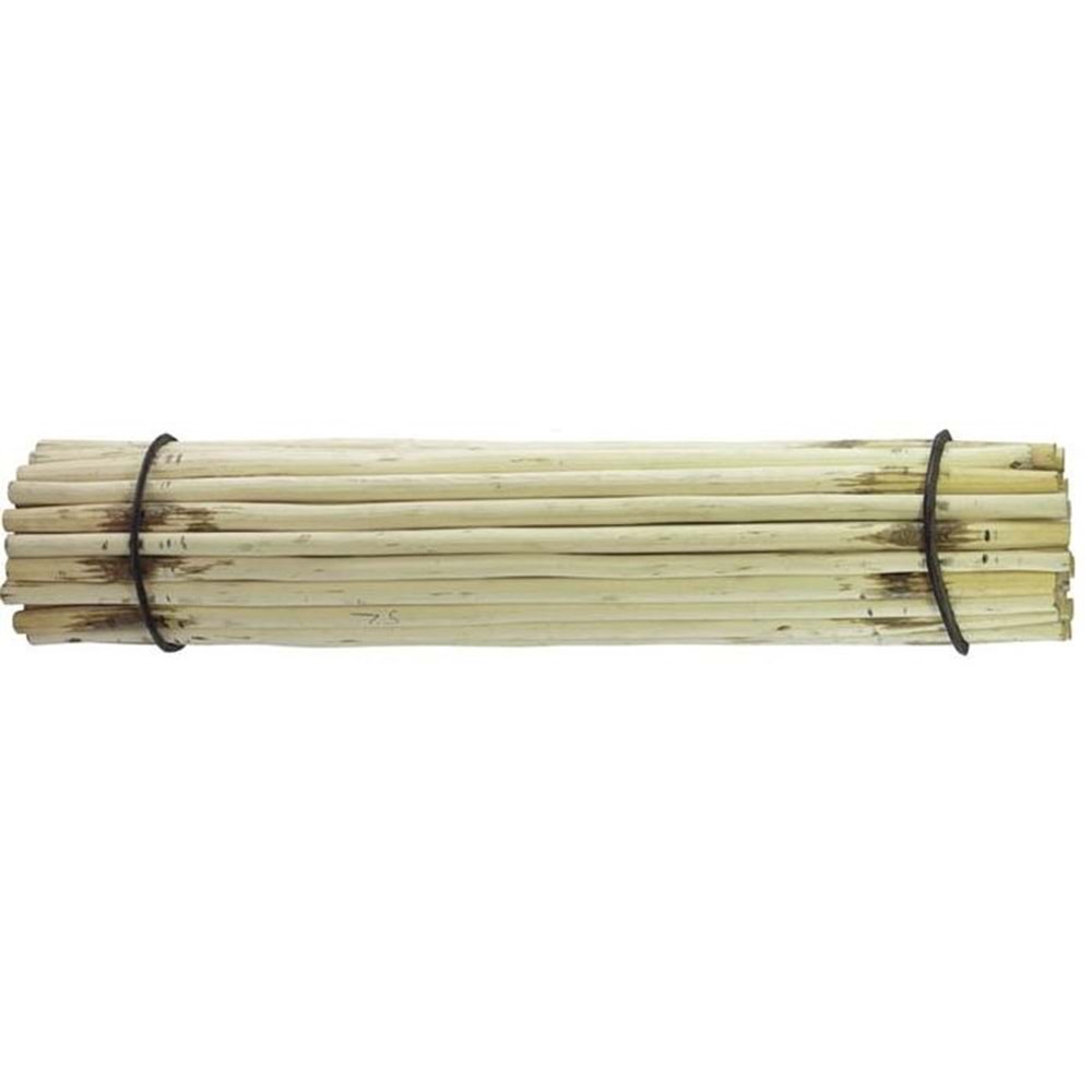 KÜREK SAPI FINDIK