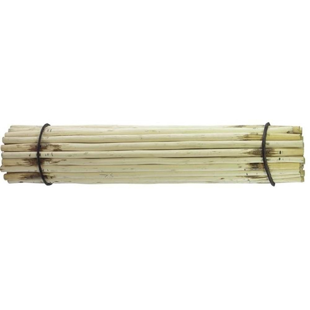 KÜREK SAPI FINDIK